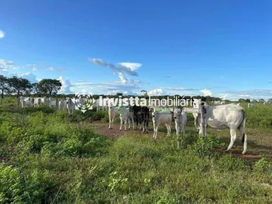 Fazenda / Sítio / Chácara à venda, 1283m² no Centro, Pium