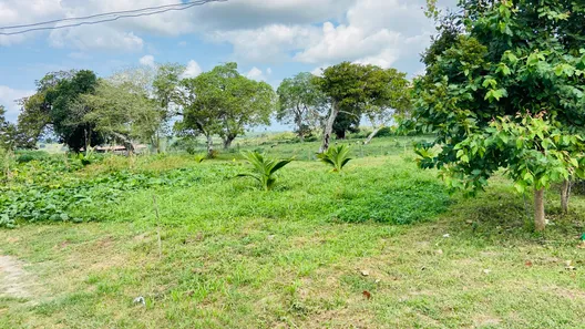 Fazenda / Sítio / Chácara com 5 Quartos à venda, 20m² no Centro, Conceição da Feira