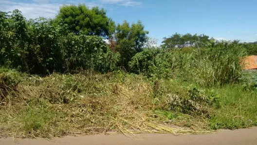 Terreno / Lote / Condomínio à venda, 249m² no Jardim das Torres Prolongamento, São Carlos