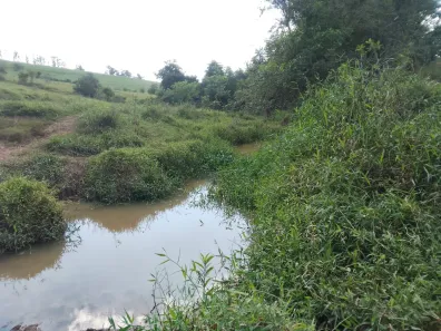 Fazenda / Sítio / Chácara à venda, 10m² no Centro, Águas de São Pedro