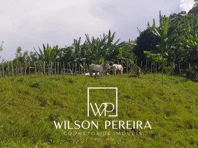 Fazenda / Sítio / Chácara à venda, 25000m² no , Bananeiras