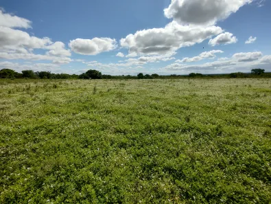 Fazenda / Sítio / Chácara à venda, 105875m² no Alto do Cruzeiro, Arapiraca
