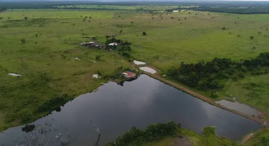 Fazenda / Sítio / Chácara à venda, 1388m² no Setor Central, Lagoa da Confusão