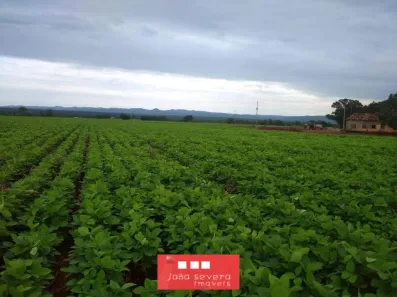 Fazenda / Sítio / Chácara à venda, 7986000m² no , Silvanópolis