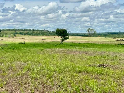 Fazenda / Sítio / Chácara à venda, 1m² no , Rio Sono
