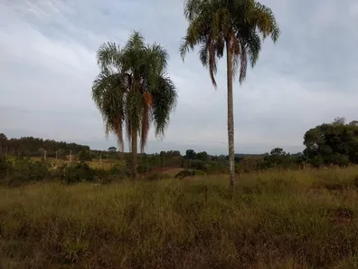 Fazenda / Sítio / Chácara com 3 Quartos à venda, 70m² no , Pilar do Sul