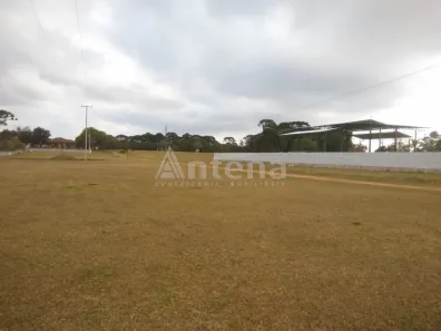 Terreno / Lote / Condomínio para alugar, 5000m² no Ipê, São José dos Pinhais