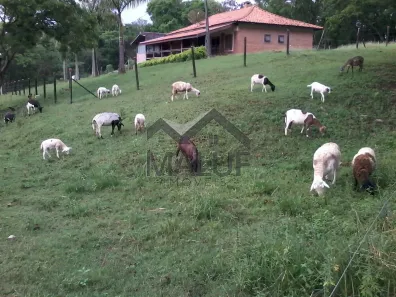 Fazenda / Sítio / Chácara com 4 Quartos à venda, 33000m² no Área Rural de Saltinho, Saltinho