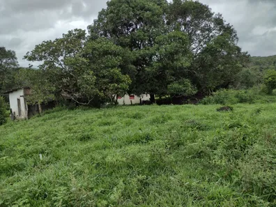 Terreno / Lote / Condomínio à venda, 20000m² no , Fortuna de Minas