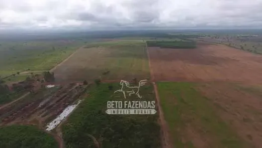 Fazenda / Sítio / Chácara à venda, 999999999m² no , Paraíso do Tocantins