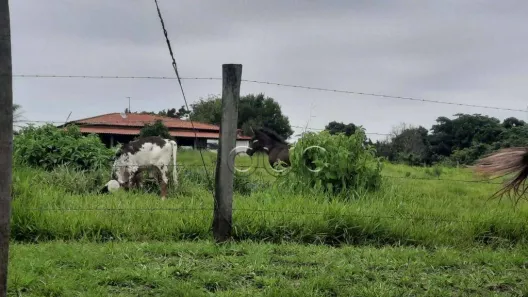 Fazenda / Sítio / Chácara com 3 Quartos à venda, 463m² no Centro (Tupi), Piracicaba