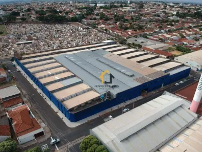 Galpão / Depósito / Armazém para alugar, 10000m² no Centro, Mirassol