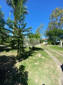 Fazenda / Sítio / Chácara com 3 Quartos à venda, 250m² no , Sairé