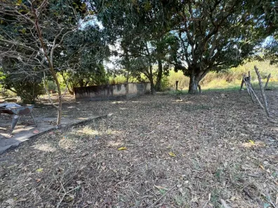 Fazenda / Sítio / Chácara com 5 Quartos à venda, 10000m² no Núcleo Residencial Brasília, Novo Gama