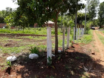Fazenda / Sítio / Chácara com 1 Quarto à venda, 2000m² no Zona Rural, Ibiporã