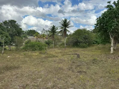 Fazenda / Sítio / Chácara com 4 Quartos à venda, 4981m² no Área Rural de Gravatá, Gravatá