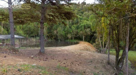 Fazenda / Sítio / Chácara com 1 Quarto à venda, 350m² no Palmitalzinho, Quatro Barras