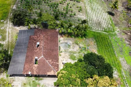 Fazenda / Sítio / Chácara à venda, 160000m² no Jardim Recreio, Conde