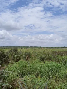 Fazenda / Sítio / Chácara com 3 Quartos à venda, 16000m² no , Vera Cruz