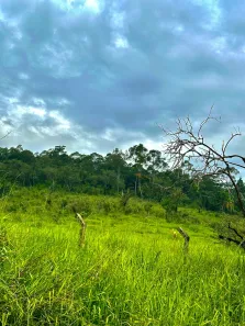 Terreno / Lote / Condomínio à venda, 1000m² no Saboó, São Roque