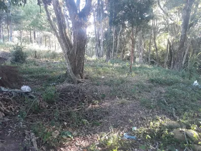 Terreno / Lote / Condomínio à venda, 1000m² no Ortizes, Piedade