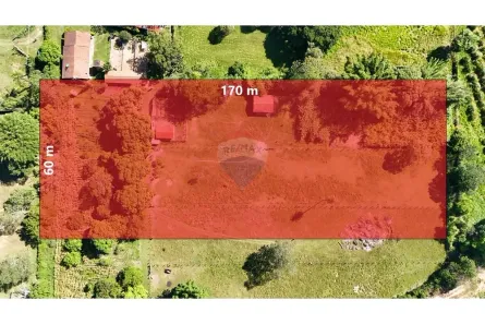 Fazenda / Sítio / Chácara à venda, 10200m² no Condomínio Rural Colméia, Jaguariúna