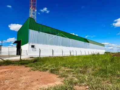 Galpão / Depósito / Armazém à venda, 1000m² no Distrito Industrial Santo Barion, Marília