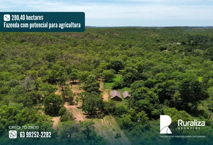 Fazenda / Sítio / Chácara à venda, 290m² no , Ponte Alta do Tocantins