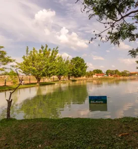 Hotel / Motel / Pousada com 5 Quartos à venda, 14000m² no Ponte Alta Norte, Brasília