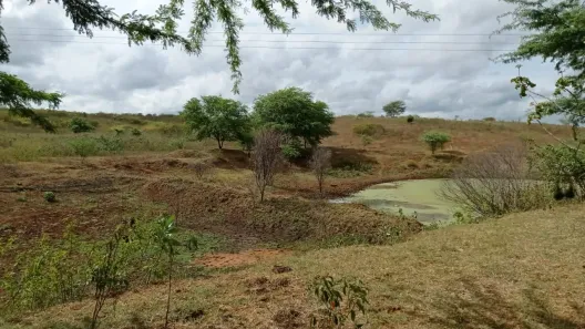 Fazenda / Sítio / Chácara com 5 Quartos à venda, 360000m² no , Passira