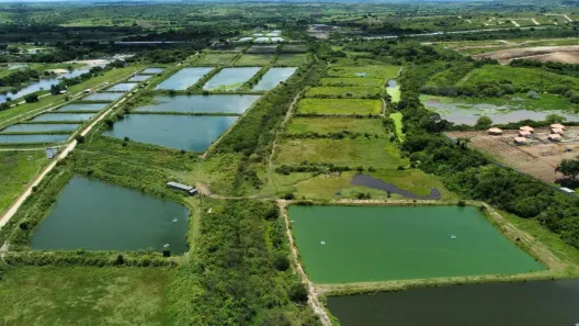Fazenda / Sítio / Chácara com 2 Quartos à venda, 326000m² no , Pilar