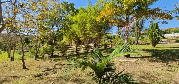 Fazenda / Sítio / Chácara à venda, 103000m² no Cidade Eclética, Santo Antônio do Descoberto