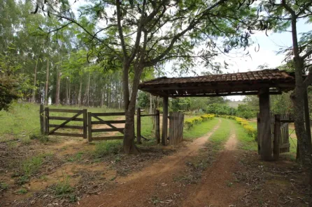 Fazenda / Sítio / Chácara à venda, 450000m² no Brazlândia, Brasília