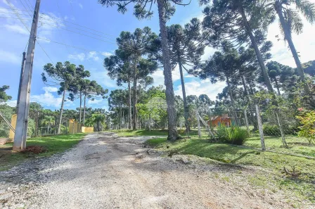 Fazenda / Sítio / Chácara à venda, 10000m² no Timbu, Campina Grande do Sul