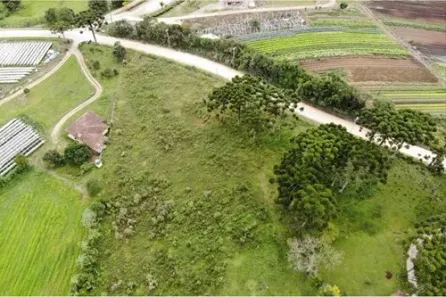 Fazenda / Sítio / Chácara com 3 Quartos à venda, 20000m² no Colônia Murici, São José dos Pinhais