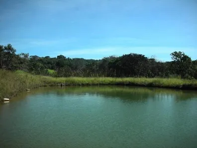 Fazenda / Sítio / Chácara com 3 Quartos à venda, 150000m² no Brazlândia, Brasília