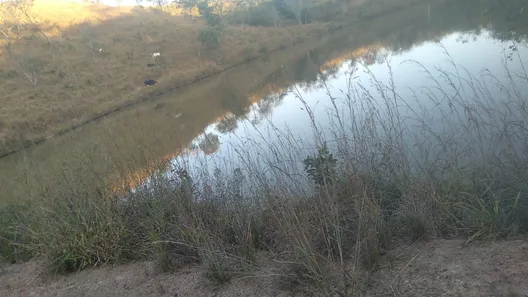 Fazenda / Sítio / Chácara à venda, 150m² no Centro, Padre Bernardo