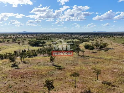 Fazenda / Sítio / Chácara à venda, 500m² no , Paranã