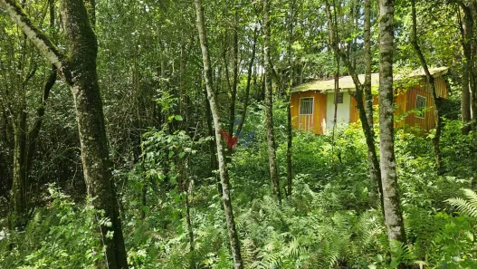 Fazenda / Sítio / Chácara com 1 Quarto à venda, 11000m² no São Miguel, Almirante Tamandaré