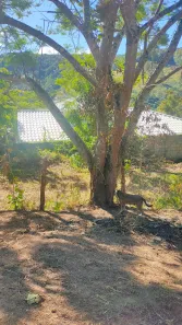 Terreno / Lote / Condomínio à venda, 360m² no Antônio dos Santos, Caeté
