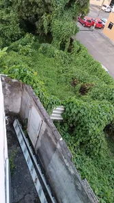 Terreno / Lote / Condomínio à venda, 4034m² no Caji, Lauro de Freitas