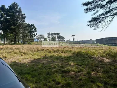 Loja / Salão / Ponto Comercial para alugar, 10000m² no Atuba, Colombo