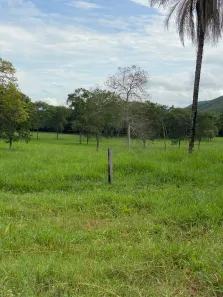 Fazenda / Sítio / Chácara com 1 Quarto à venda, 190000000m² no Bezerra, Formosa