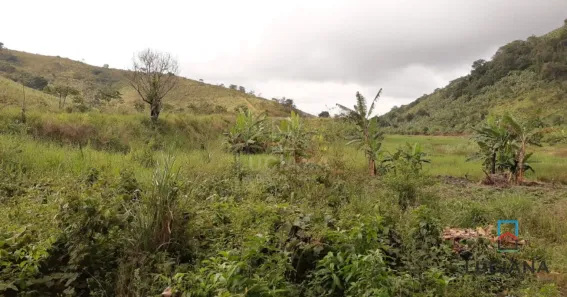 Fazenda / Sítio / Chácara à venda, 380000m² no , Chã Grande