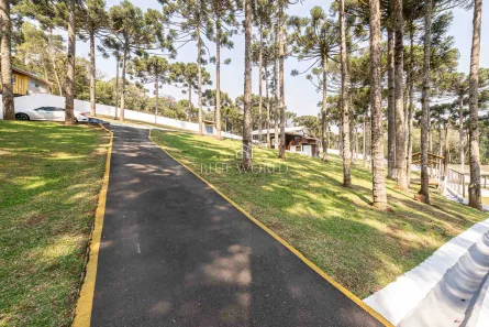 Fazenda / Sítio / Chácara à venda, 11734m² no Santa Gema, Colombo