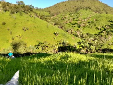 Fazenda / Sítio / Chácara com 3 Quartos à venda, 2565000m² no , Padre Bernardo