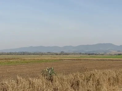 Fazenda / Sítio / Chácara à venda, 120m² no Vila Velha, Caçapava