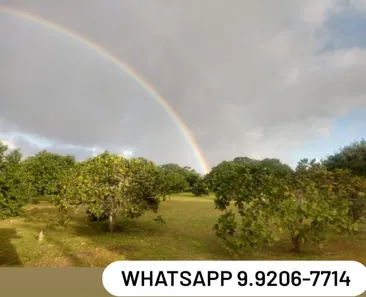 Fazenda / Sítio / Chácara à venda, 23500m² no Alpes Suiços, Gravatá