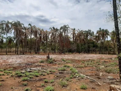 Fazenda / Sítio / Chácara com 2 Quartos à venda, 20000m² no Vale  Das  Macieiras, Padre Bernardo