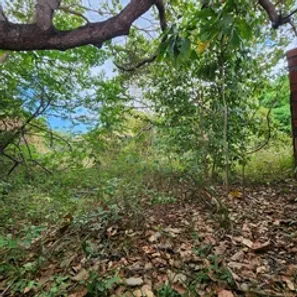 Terreno / Lote / Condomínio para alugar, 9800m² no Coaçu, Eusébio